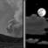 Tonight: Patchy smoke before 9pm. Partly cloudy, with a low around 68. West wind 5 to 10 mph becoming northeast after midnight. 